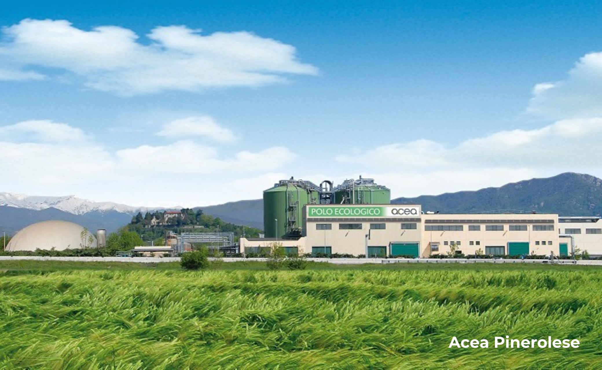 acea pinerolese testo
